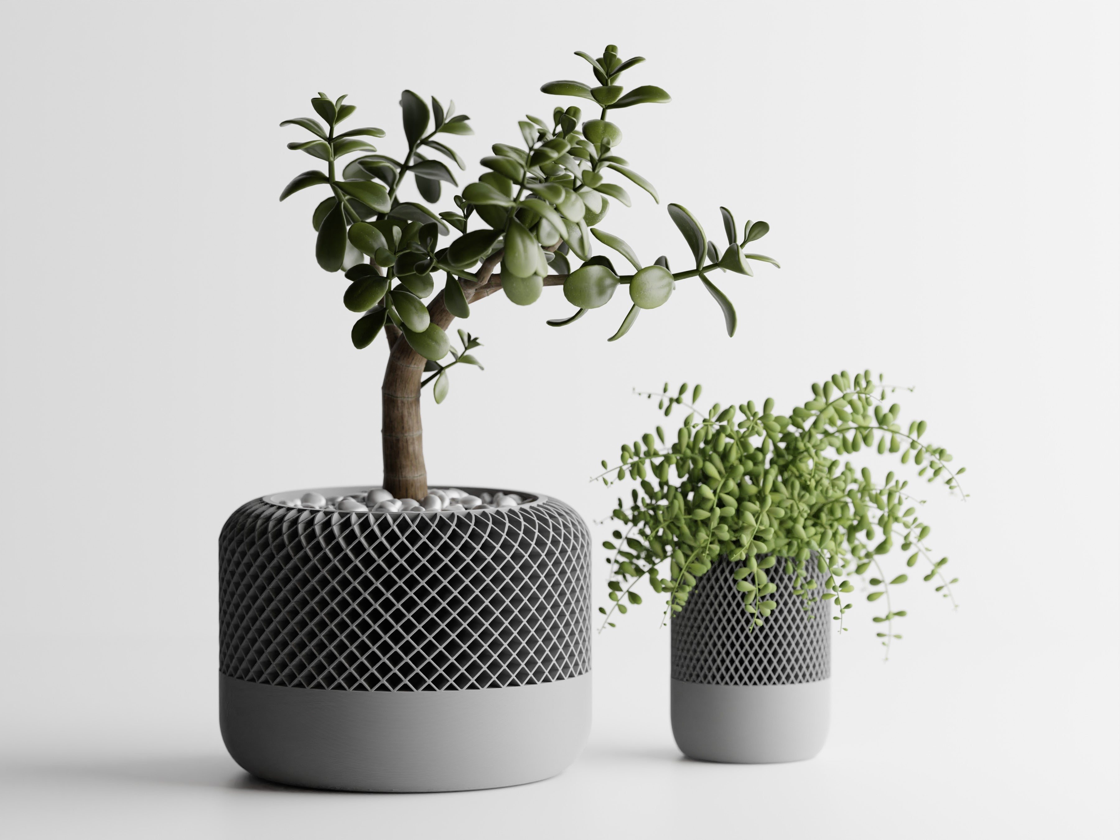 HomePod Style Planter – Modern 3D Printed