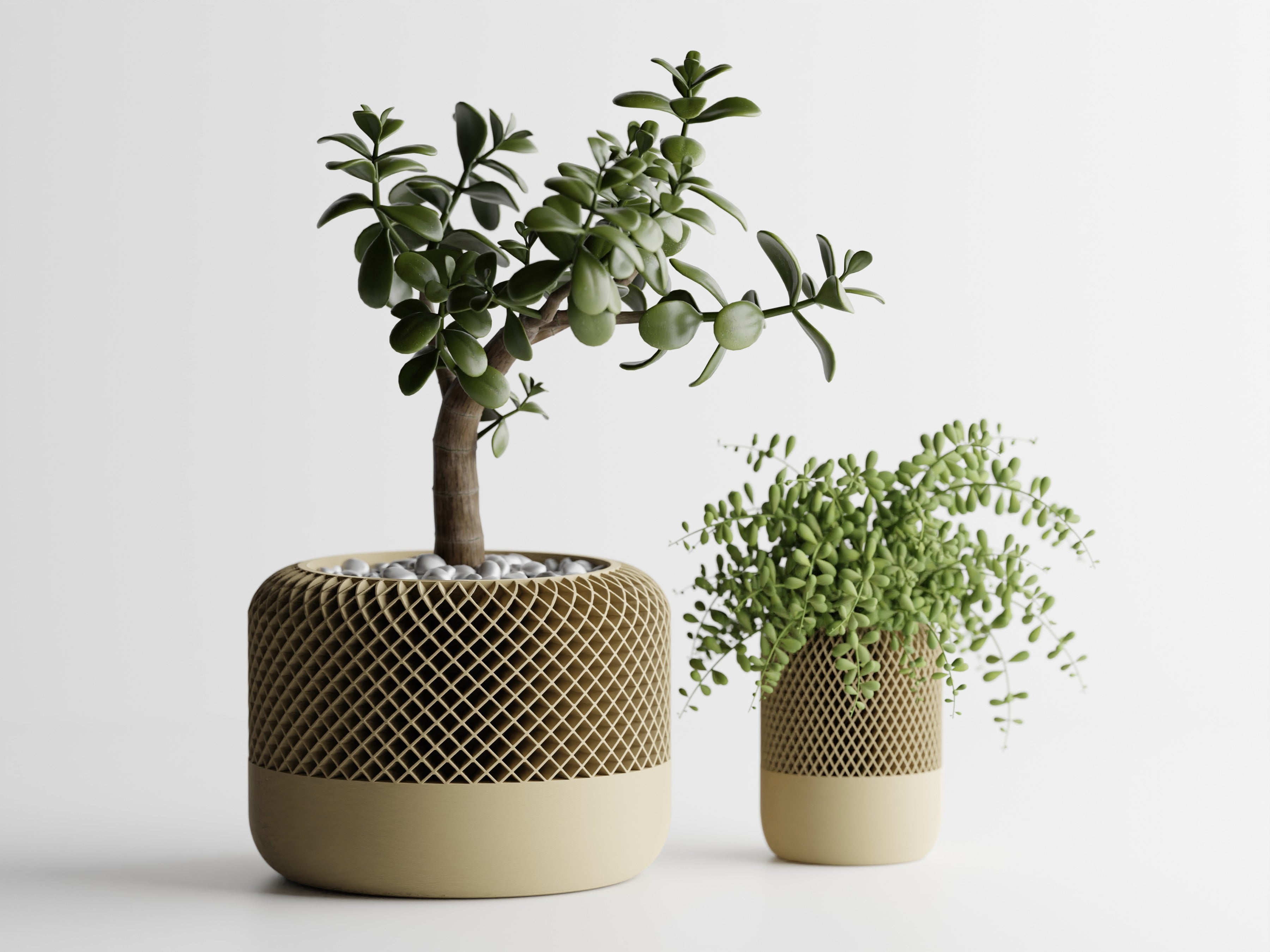 HomePod Style Planter – Modern 3D Printed