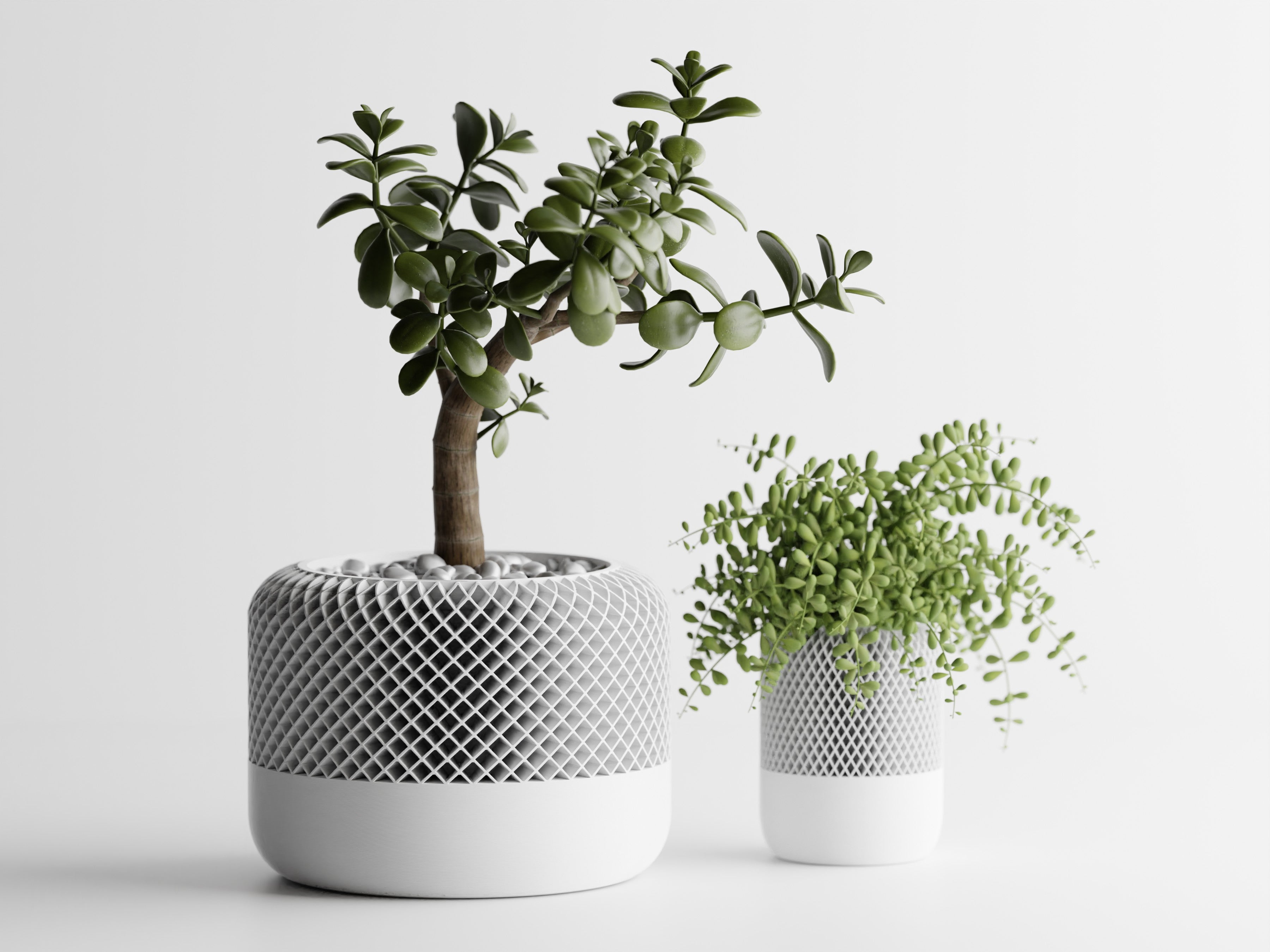 HomePod Style Planter – Modern 3D Printed