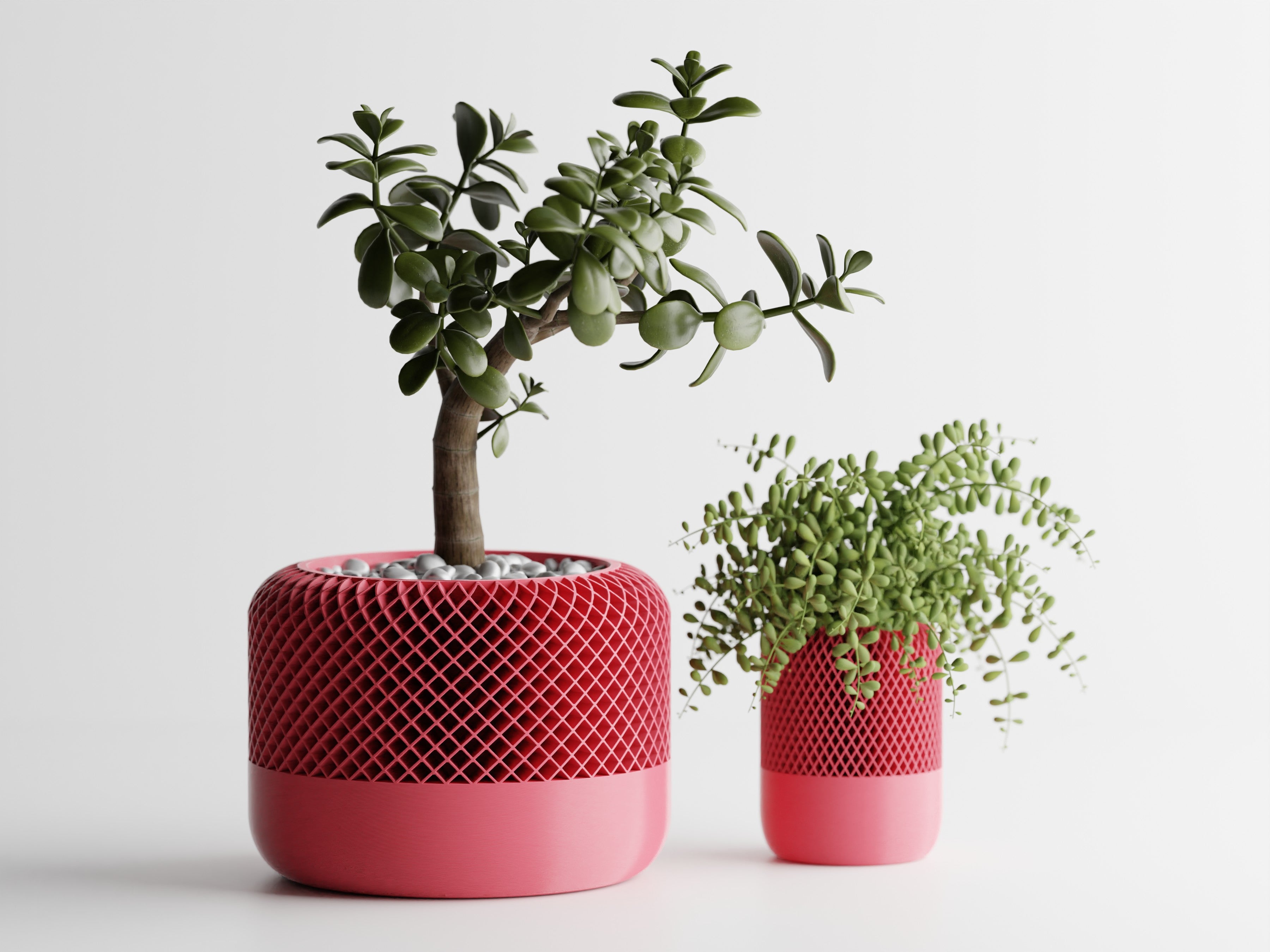 HomePod Style Planter – Modern 3D Printed