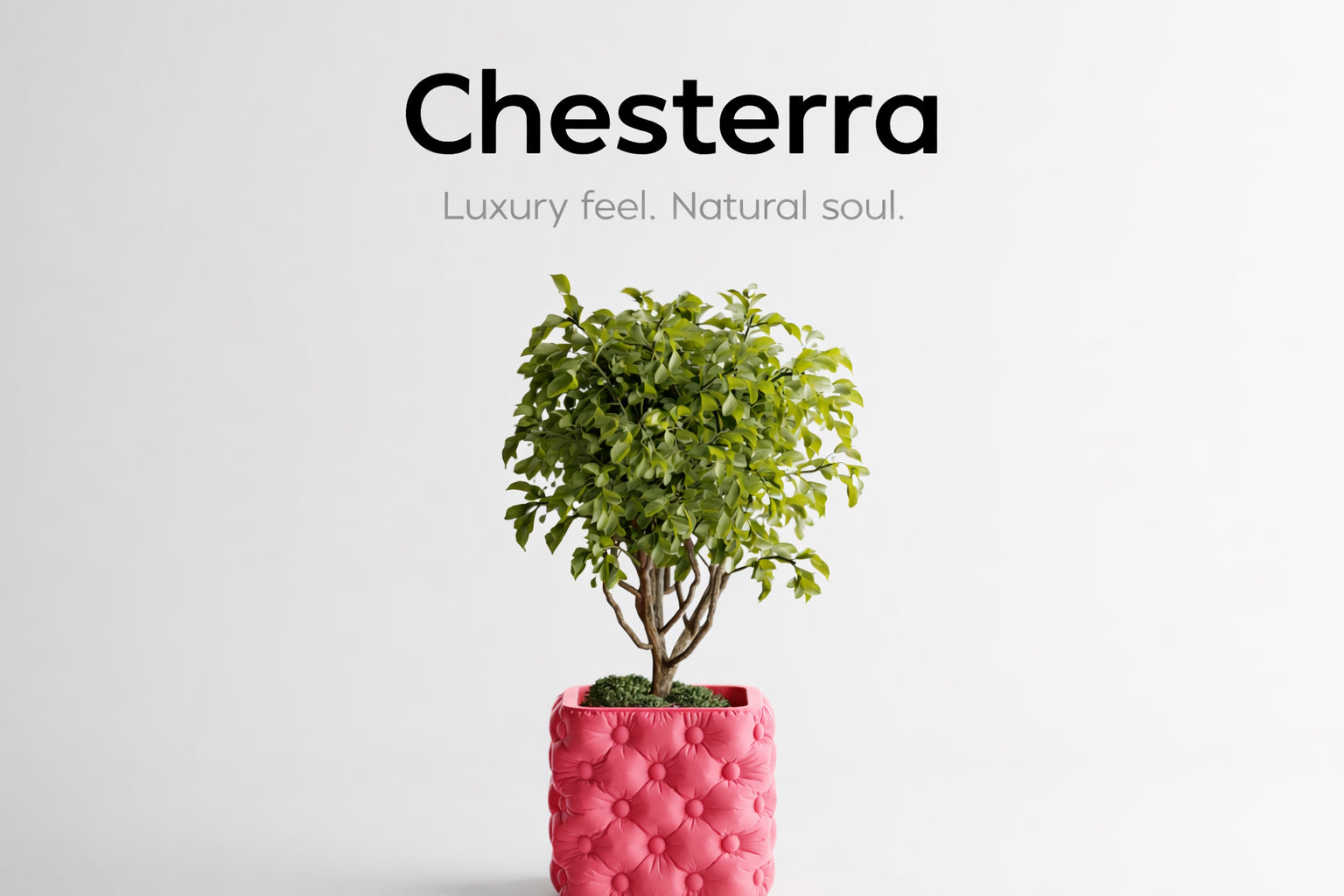 Chesterra