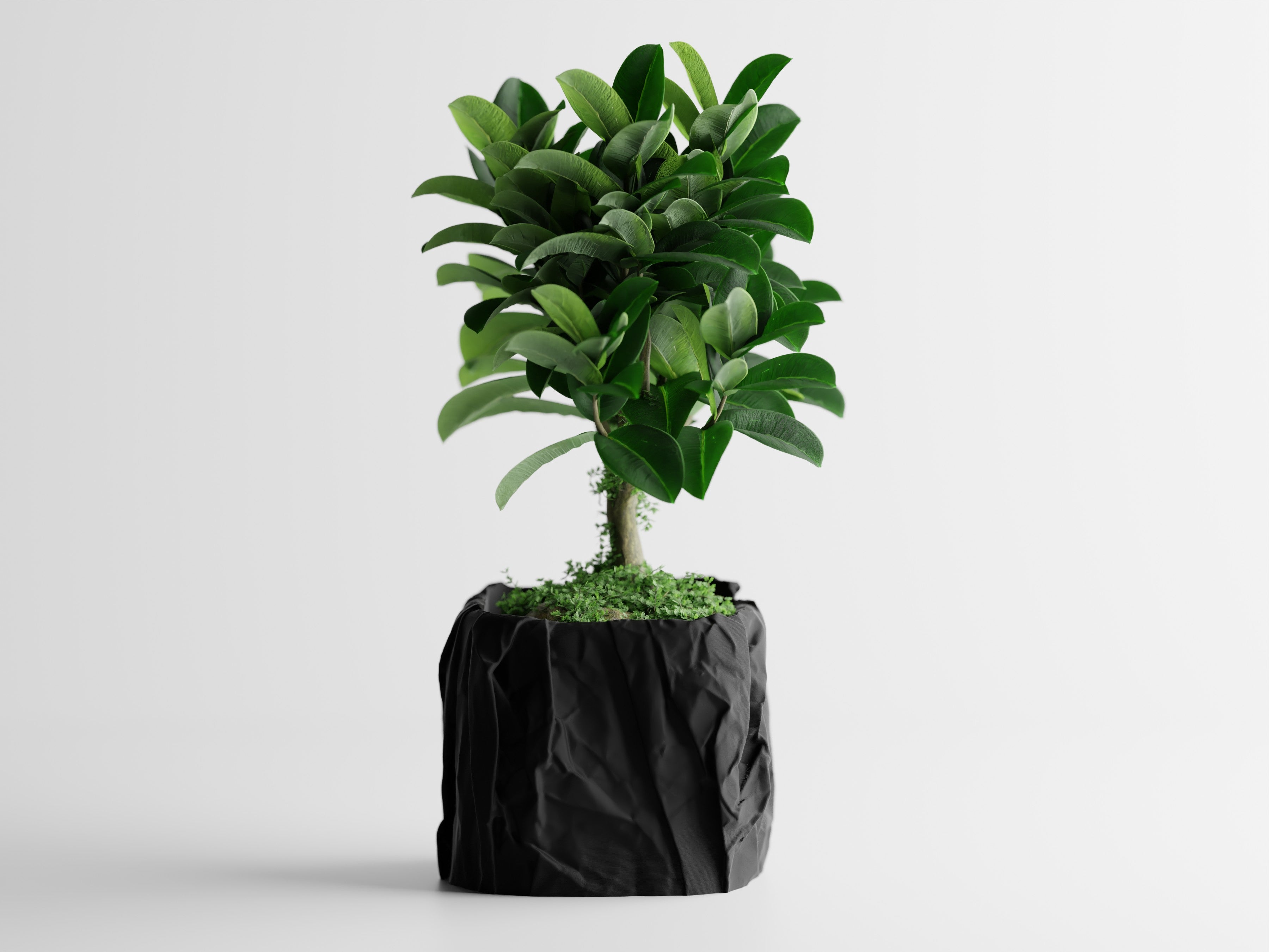 Crumpled Paper Planter Square