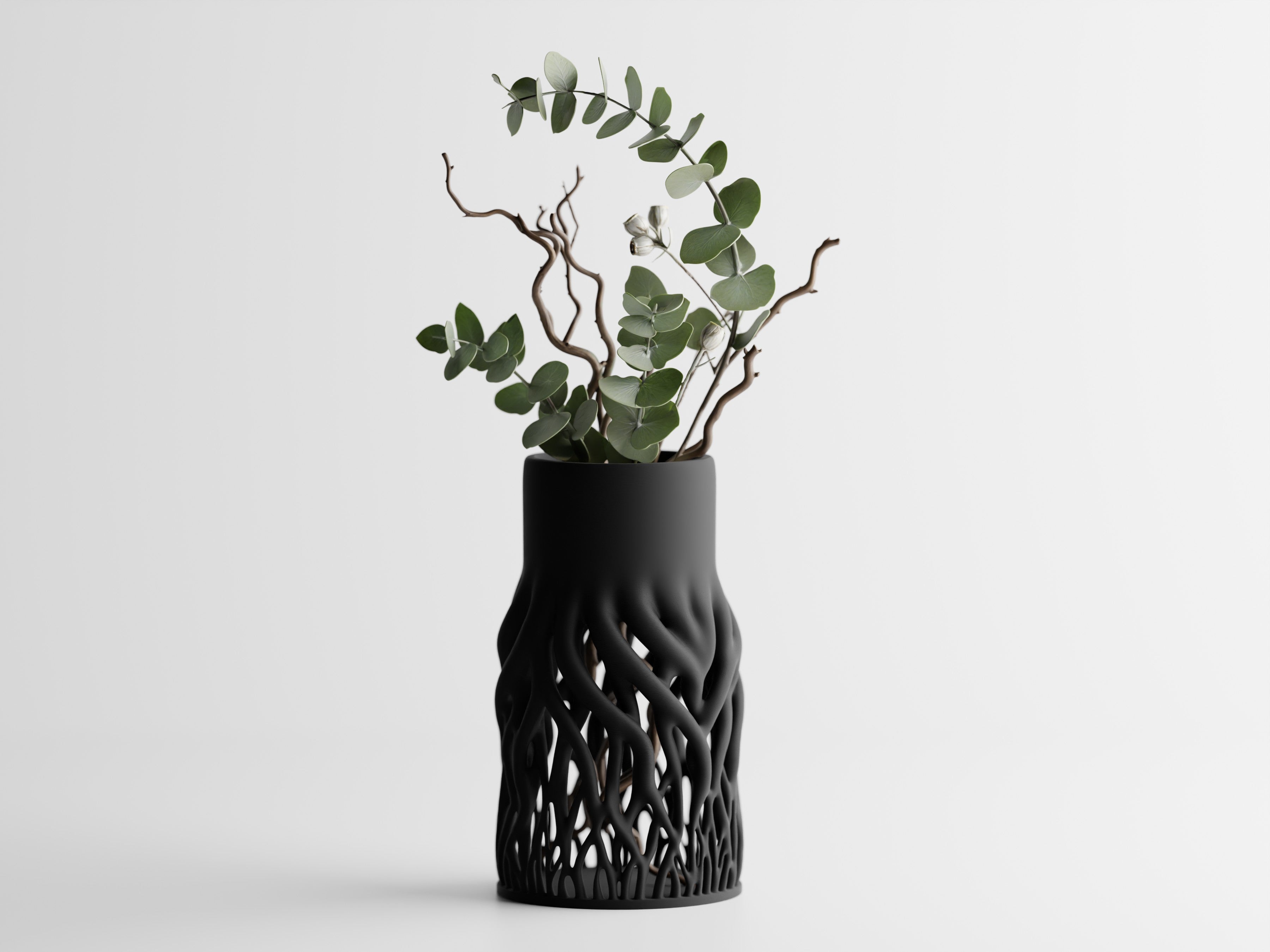 Rhizéa – Elegance, deeply rooted