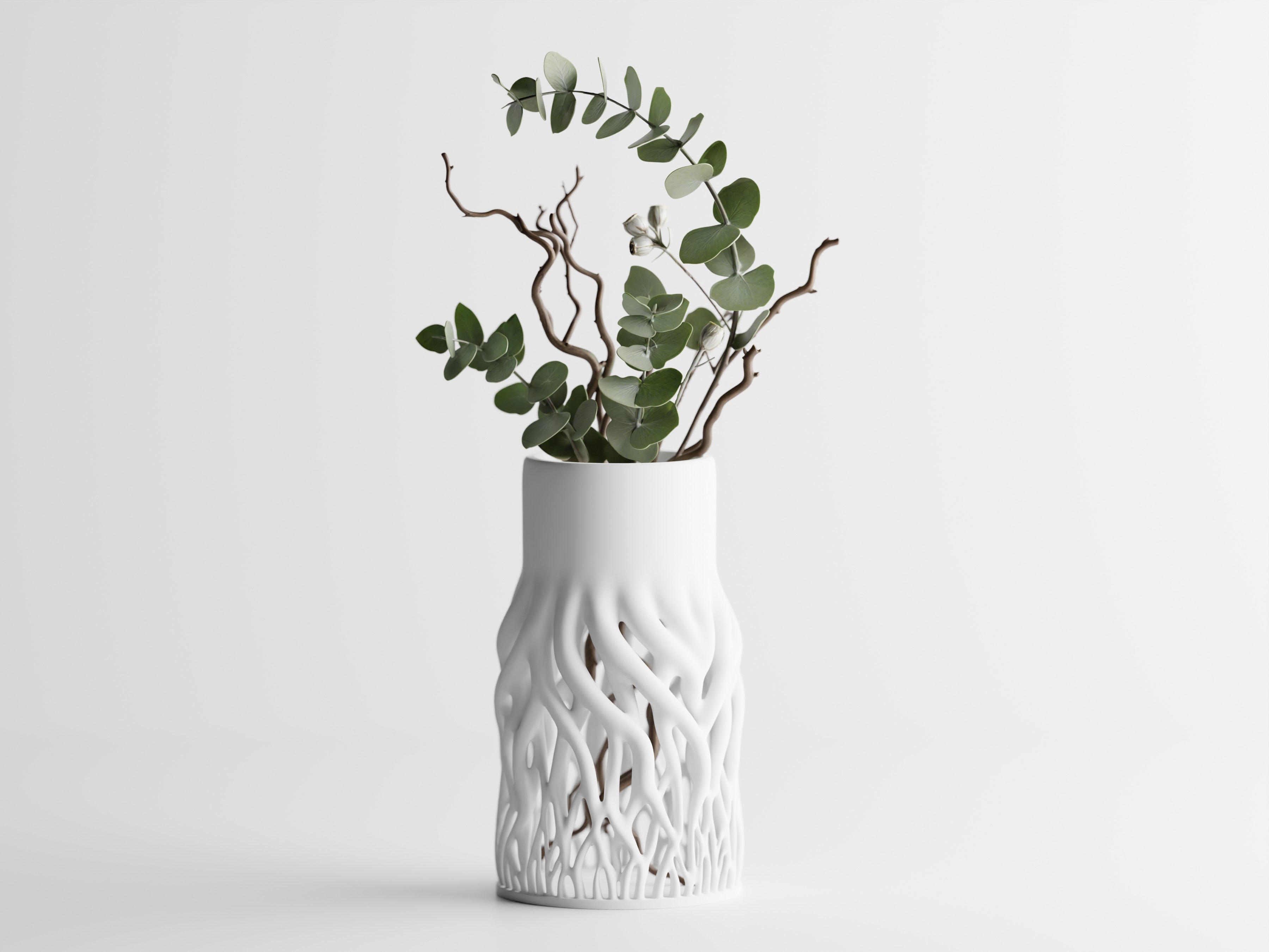 Rhizéa – Elegance, deeply rooted