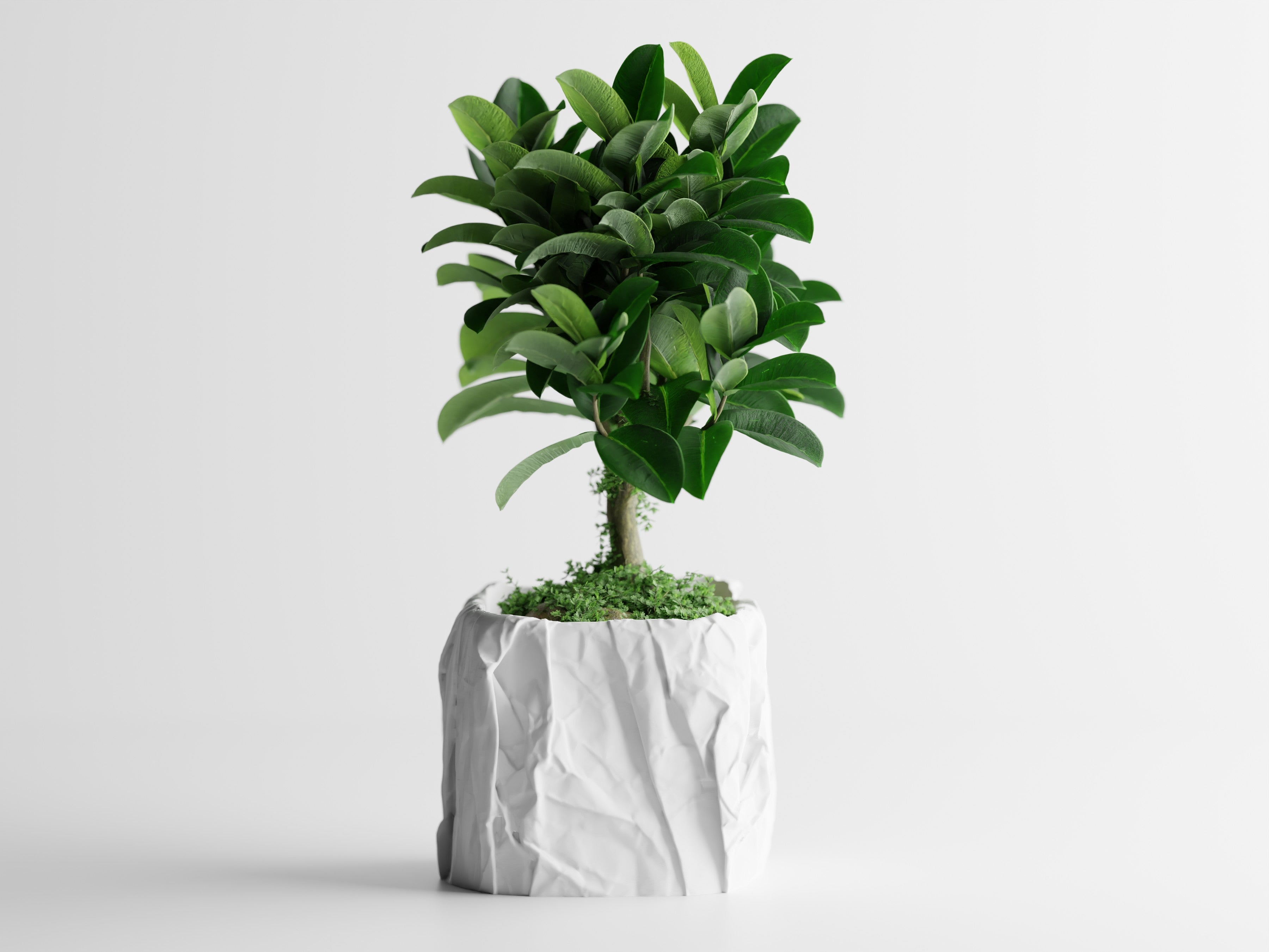Crumpled Paper Planter Square