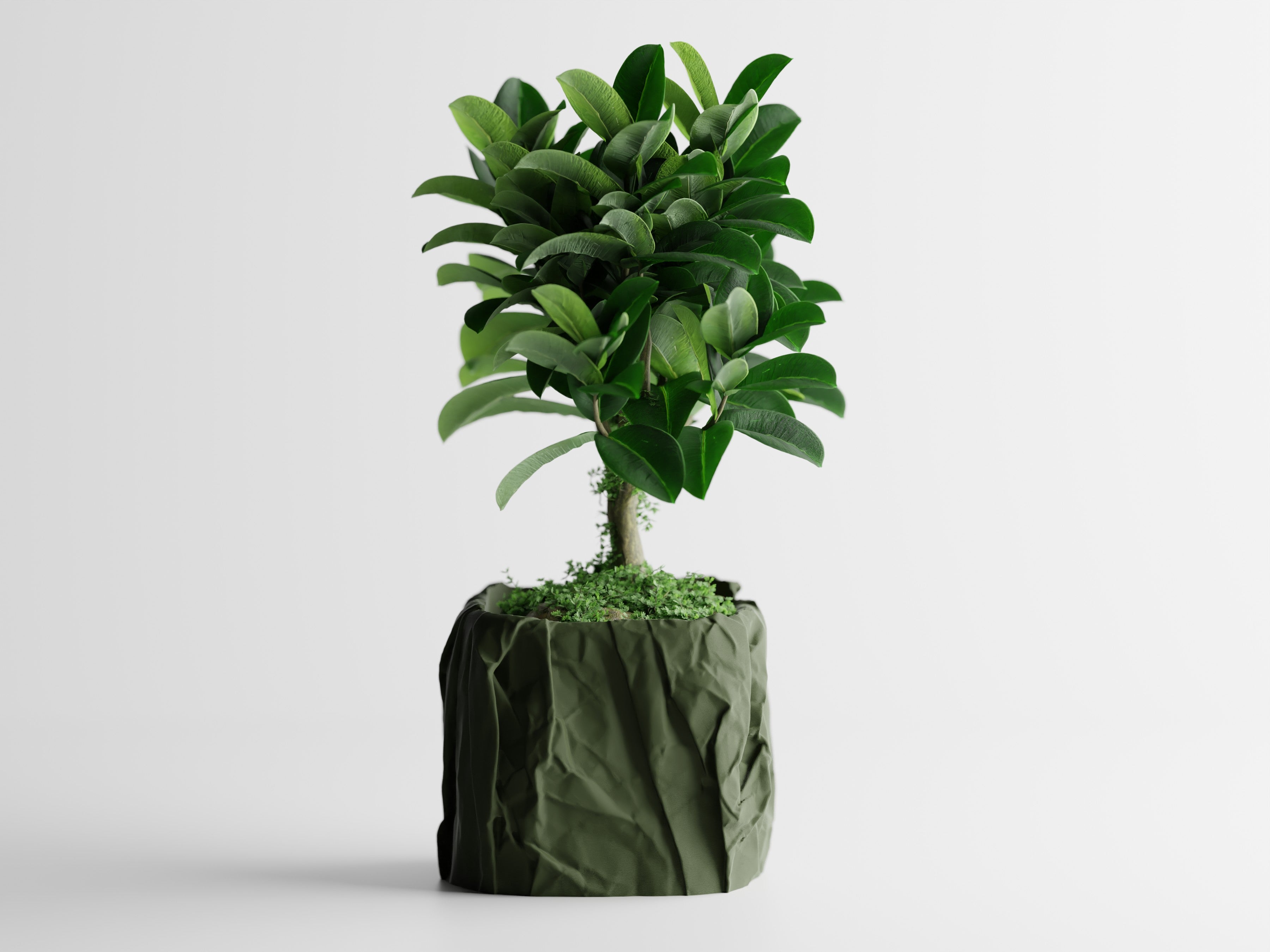 Crumpled Paper Planter Square