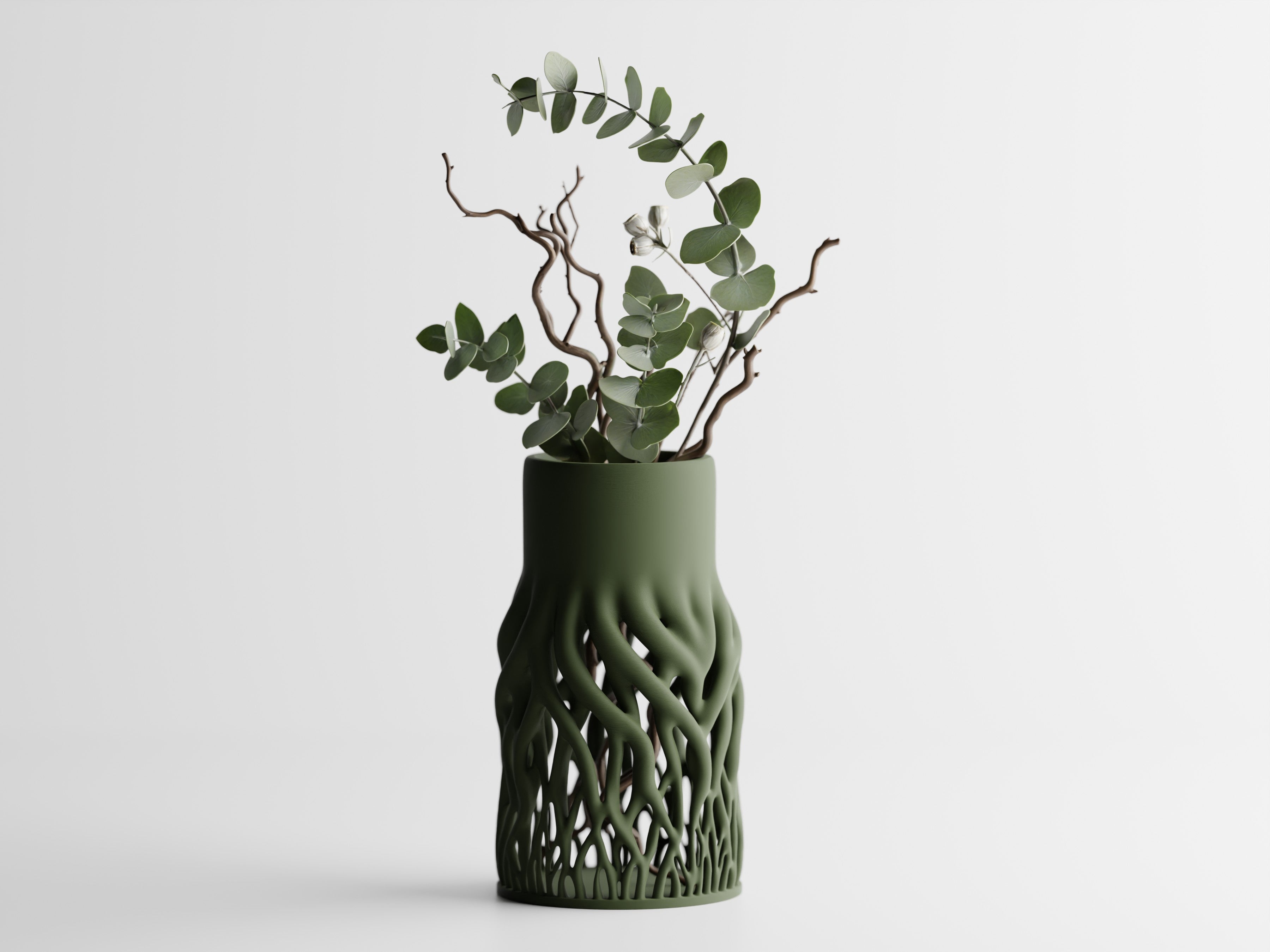 Rhizéa – Elegance, deeply rooted