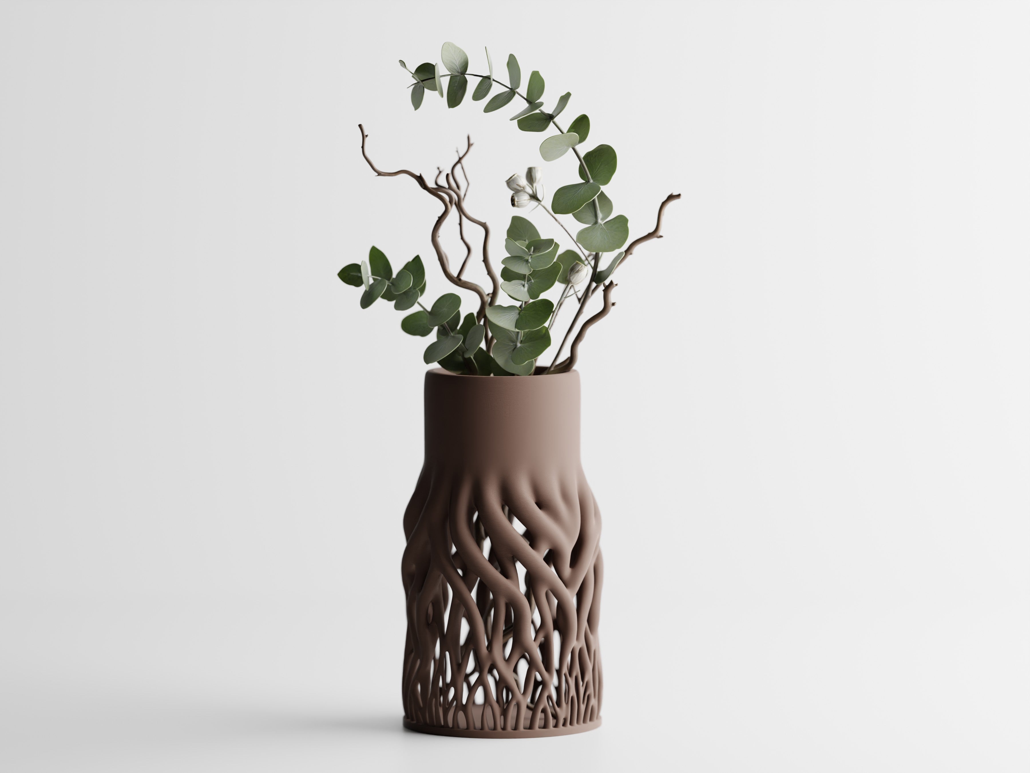 Rhizéa – Elegance, deeply rooted