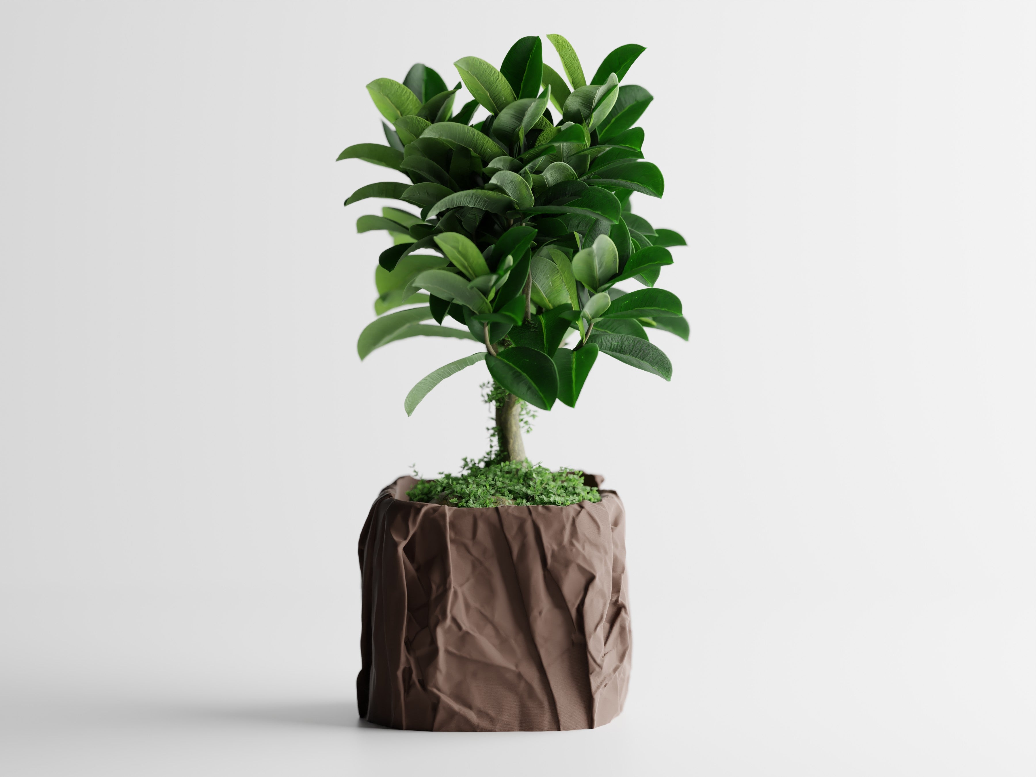 Crumpled Paper Planter Square