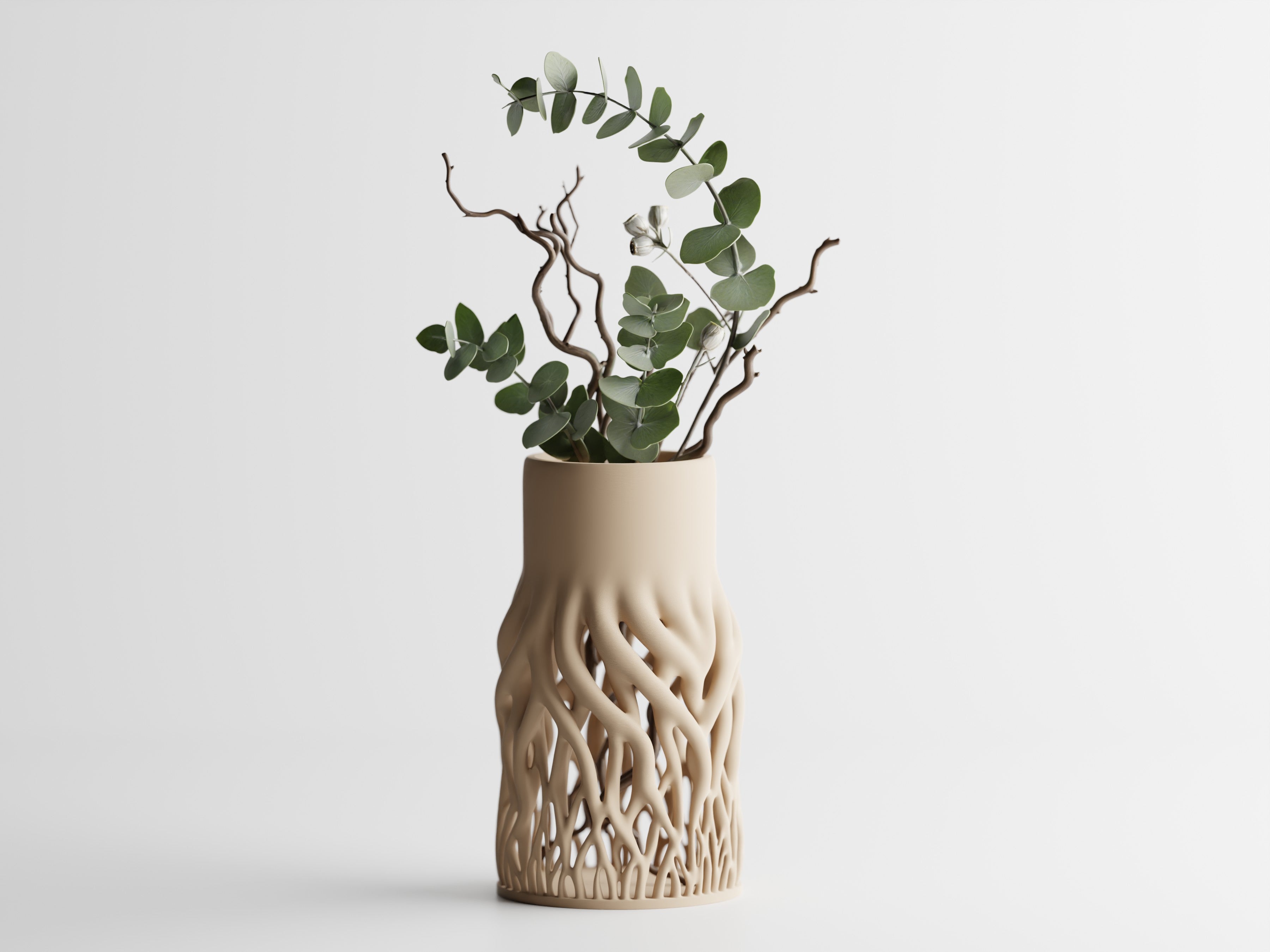 Rhizéa – Elegance, deeply rooted