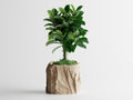 Crumpled Paper Planter Square