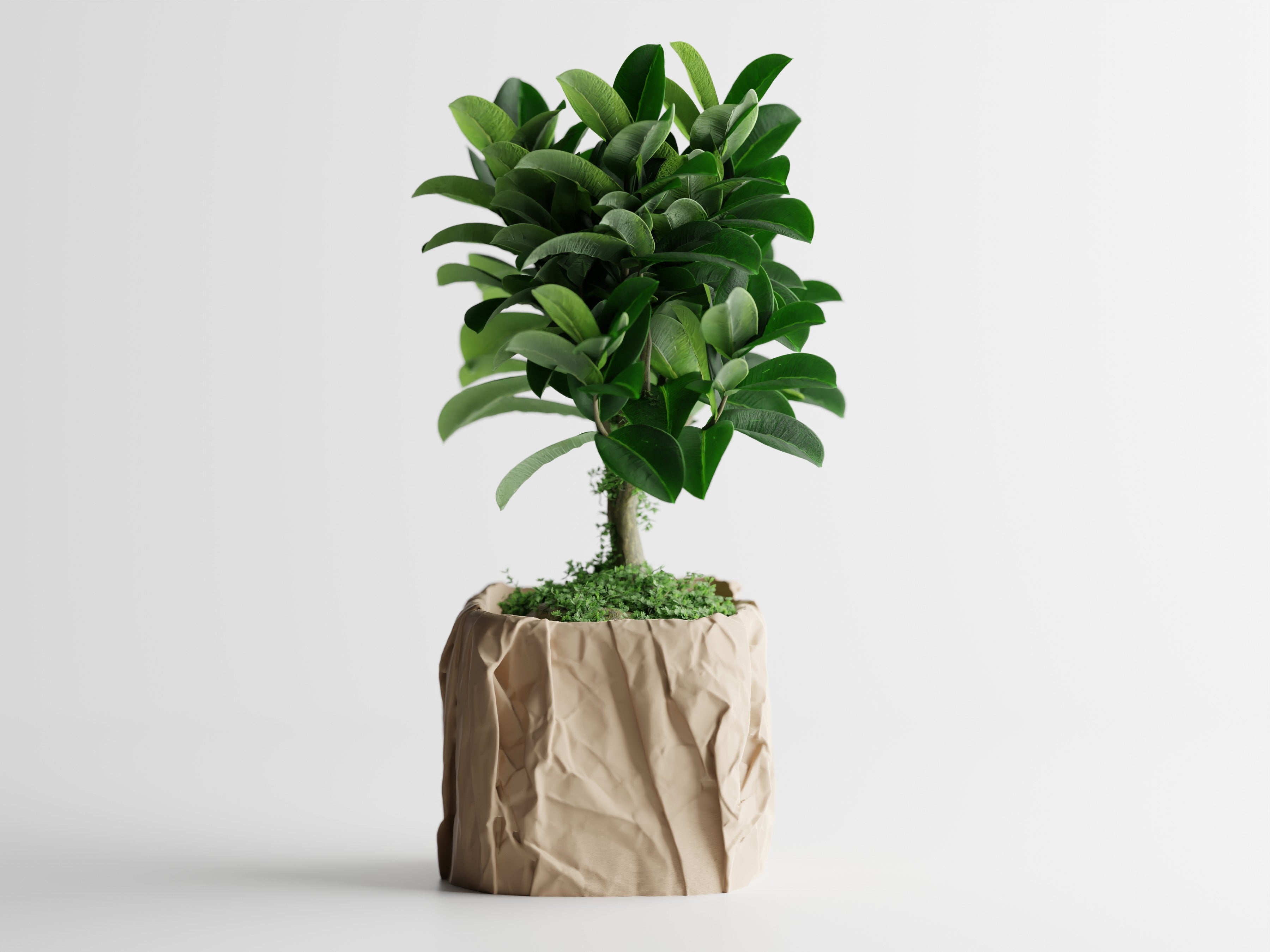 Crumpled Paper Planter Square