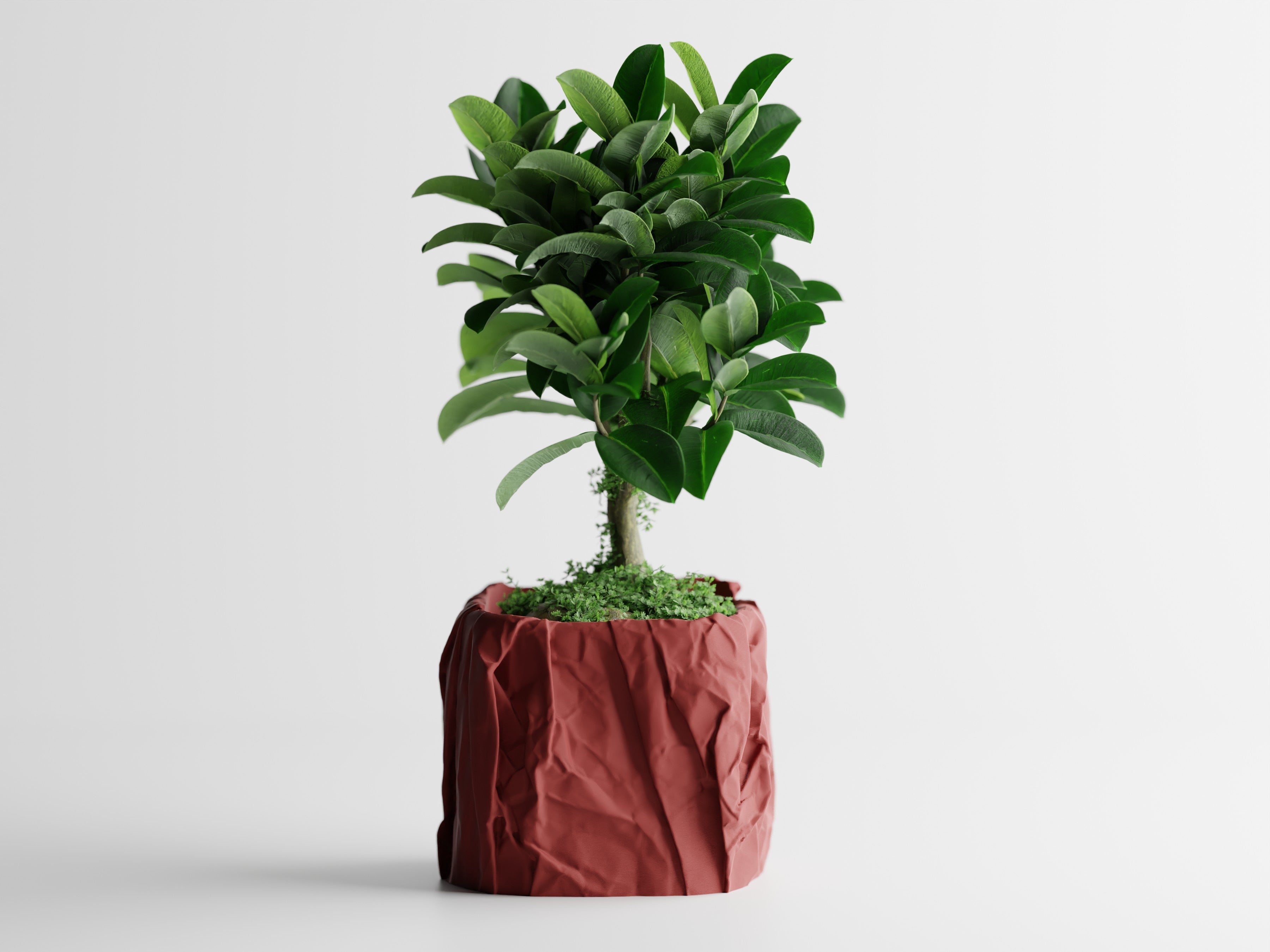 Crumpled Paper Planter Square