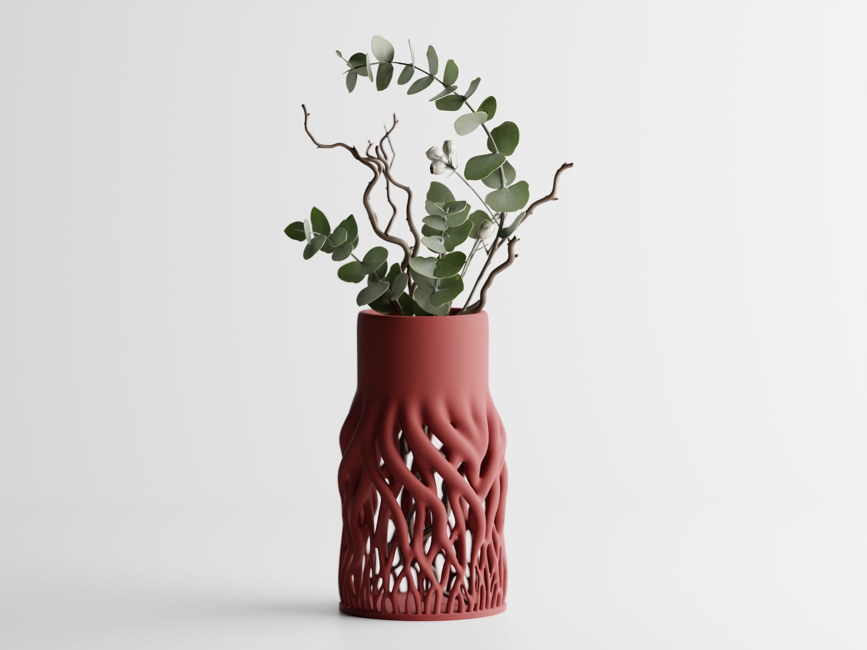 Rhizéa – Elegance, deeply rooted