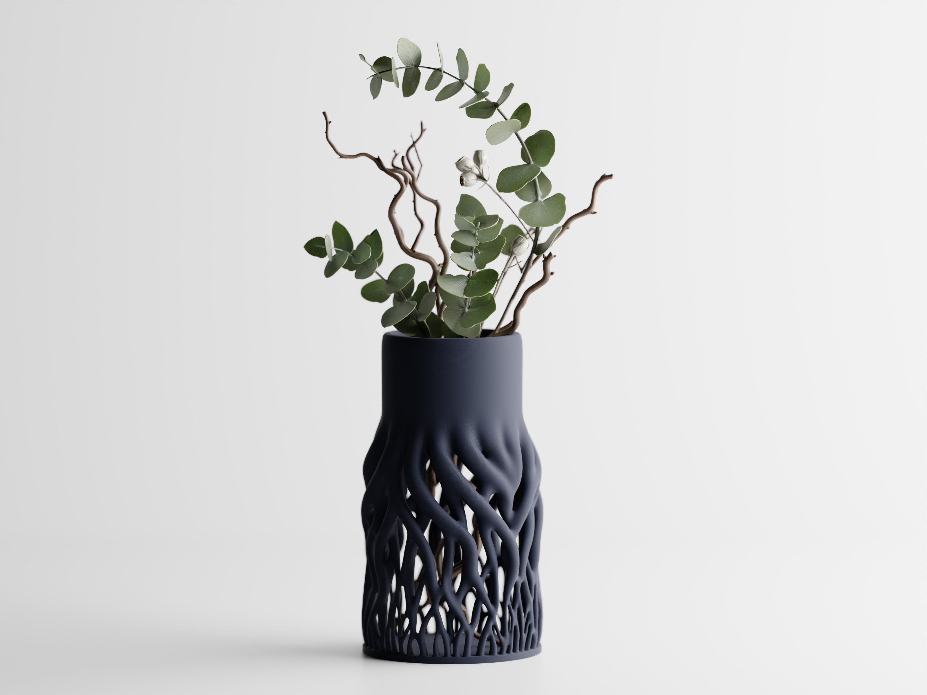 Rhizéa – Elegance, deeply rooted