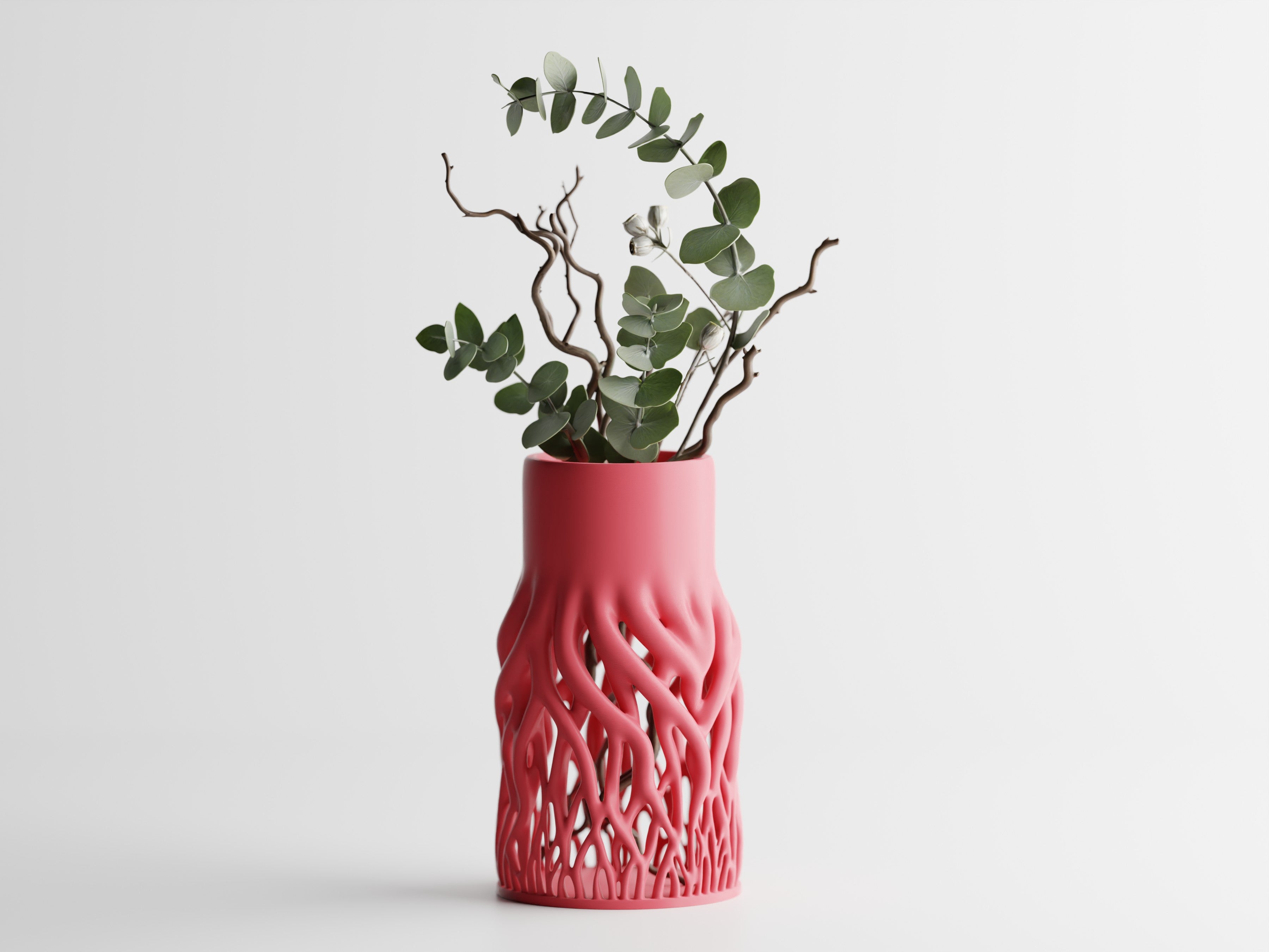 Rhizéa – Elegance, deeply rooted