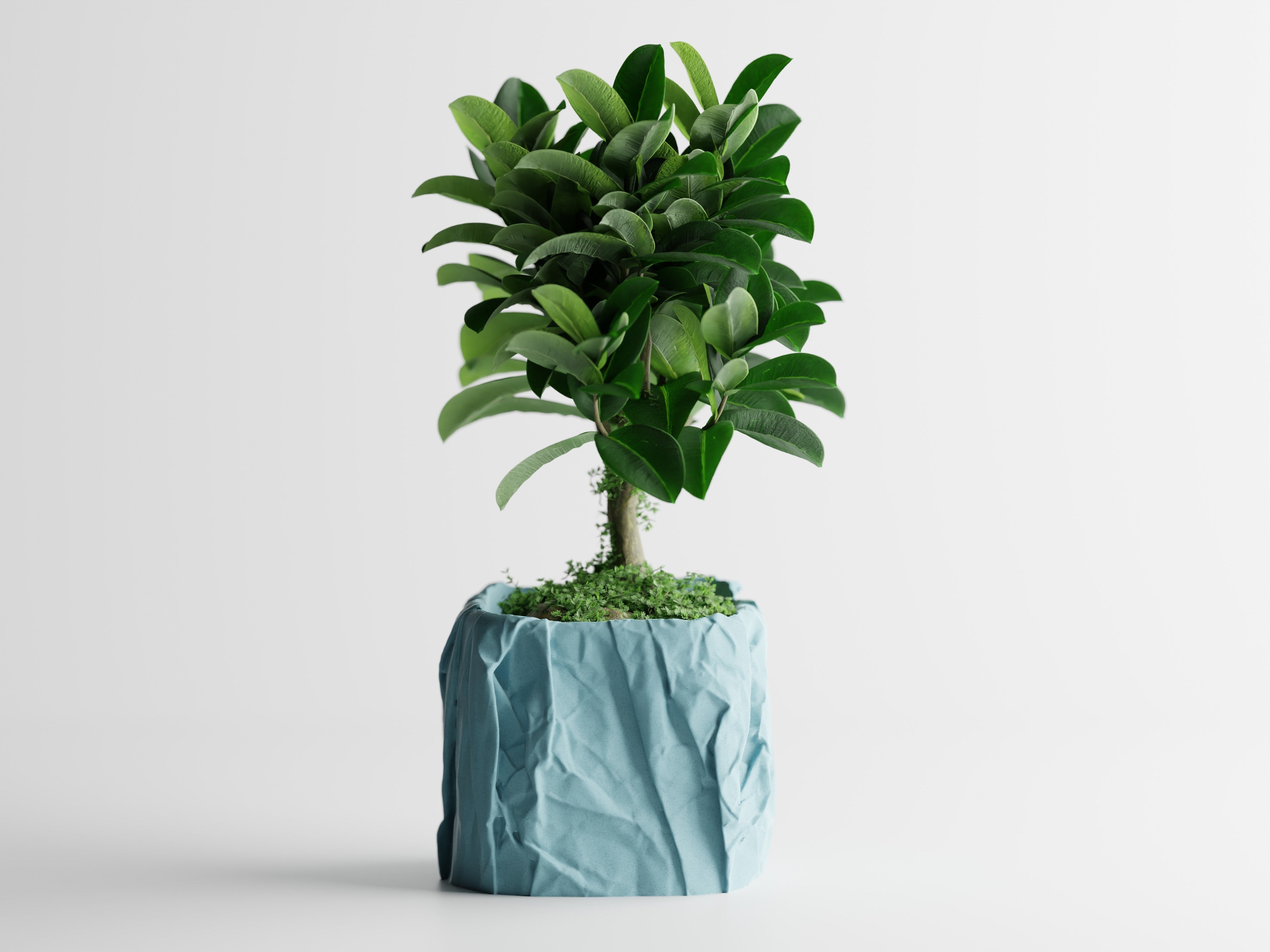 Crumpled Paper Planter Square