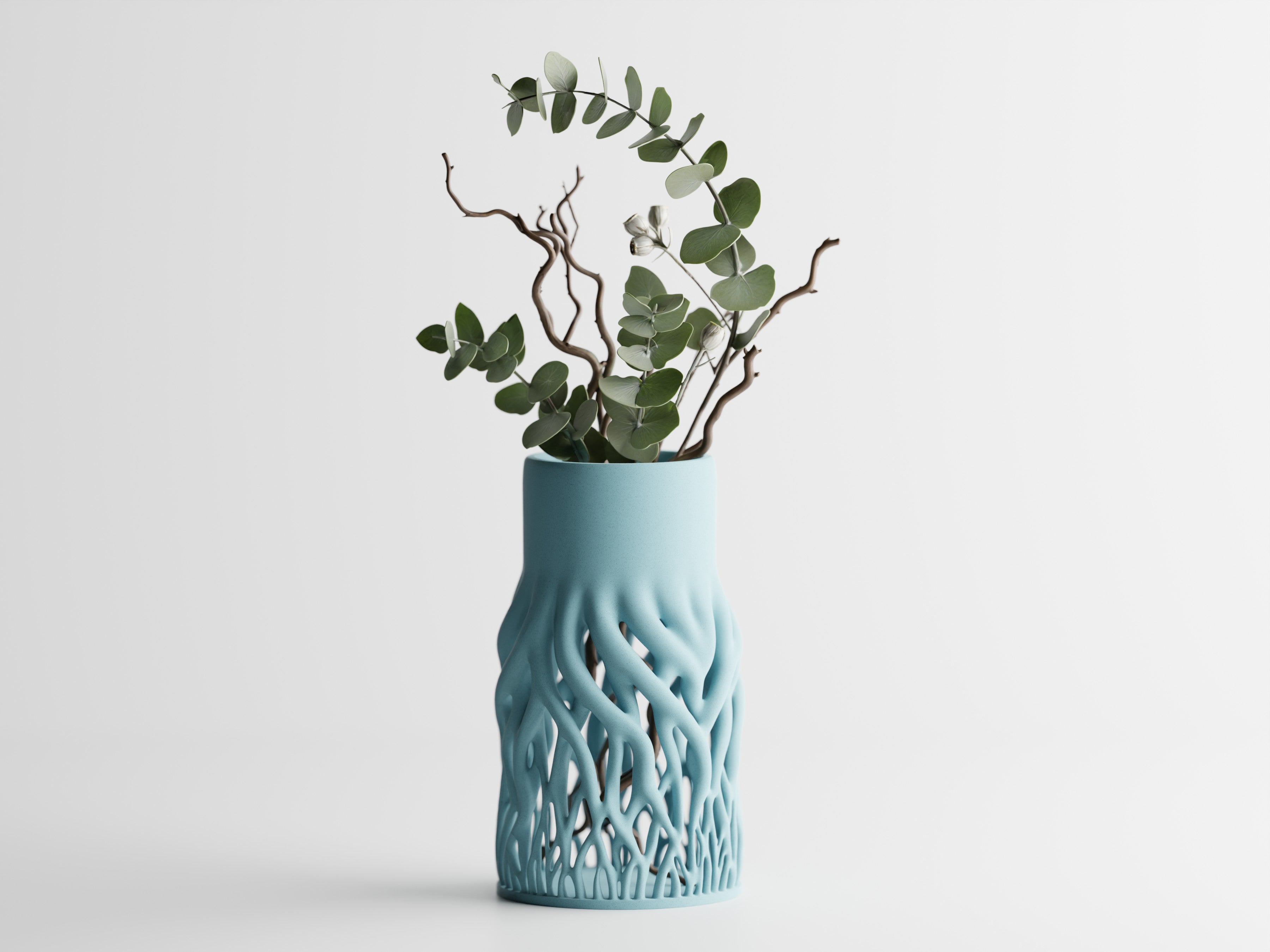 Rhizéa – Elegance, deeply rooted