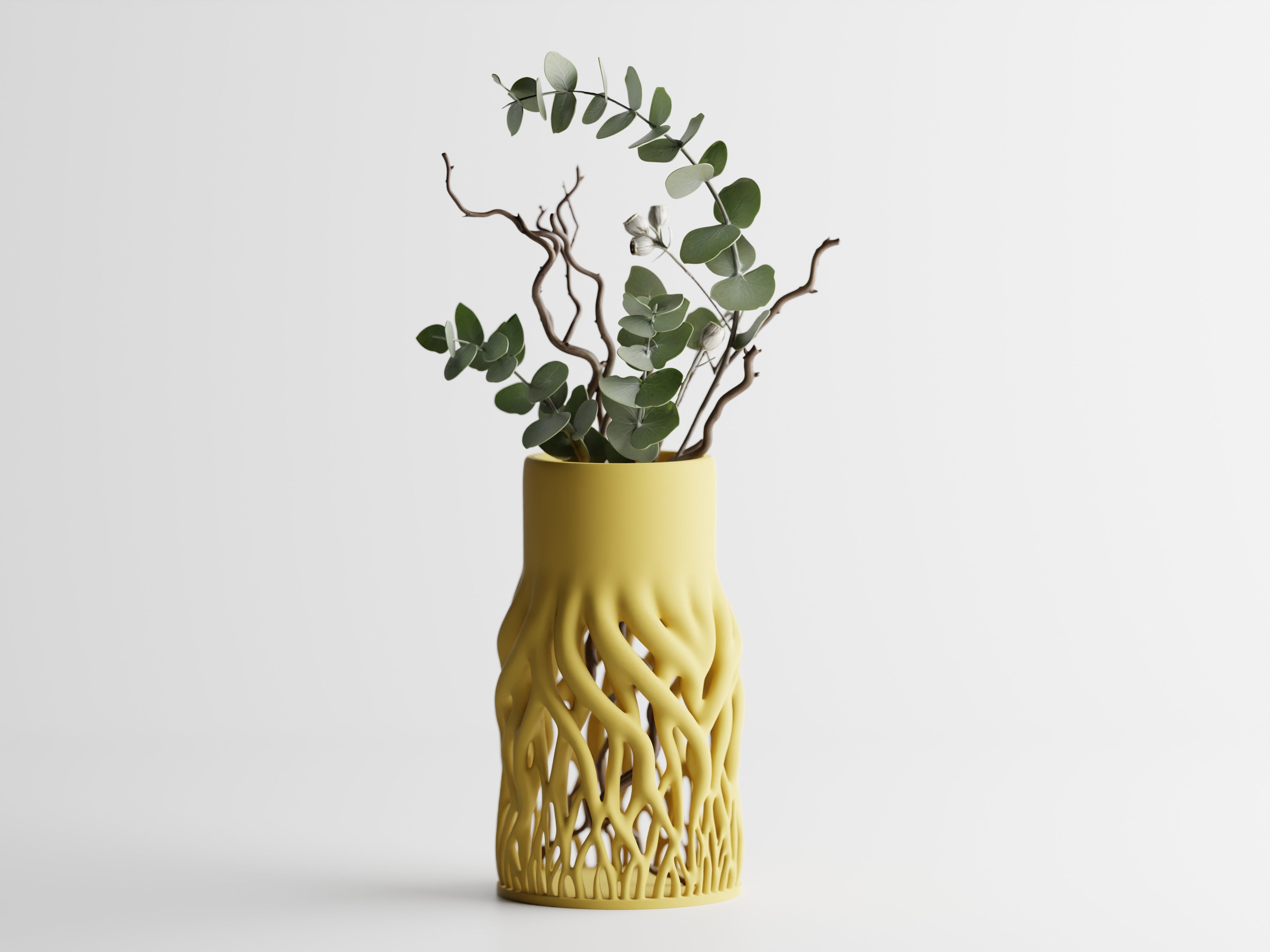 Rhizéa – Elegance, deeply rooted