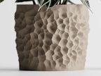 Cratera Geometric Planter – Modern 3D Printed Indoor Plant Pot