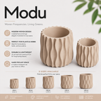 Modu Modern Planter | Elegant 3D Printed Planter for Houseplants & Herbs