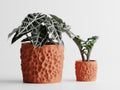 Cratera Geometric Planter – Modern 3D Printed Indoor Plant Pot