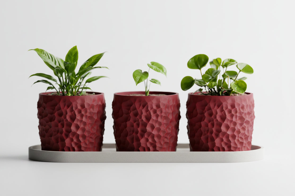 Piccola Pot Set – 3D Printed Mini Planter Trio