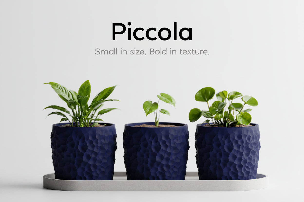 Piccola Pot Set – 3D Printed Mini Planter Trio