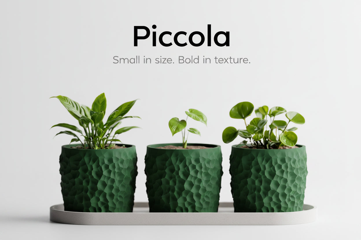 Piccola Pot Set – 3D Printed Mini Planter Trio