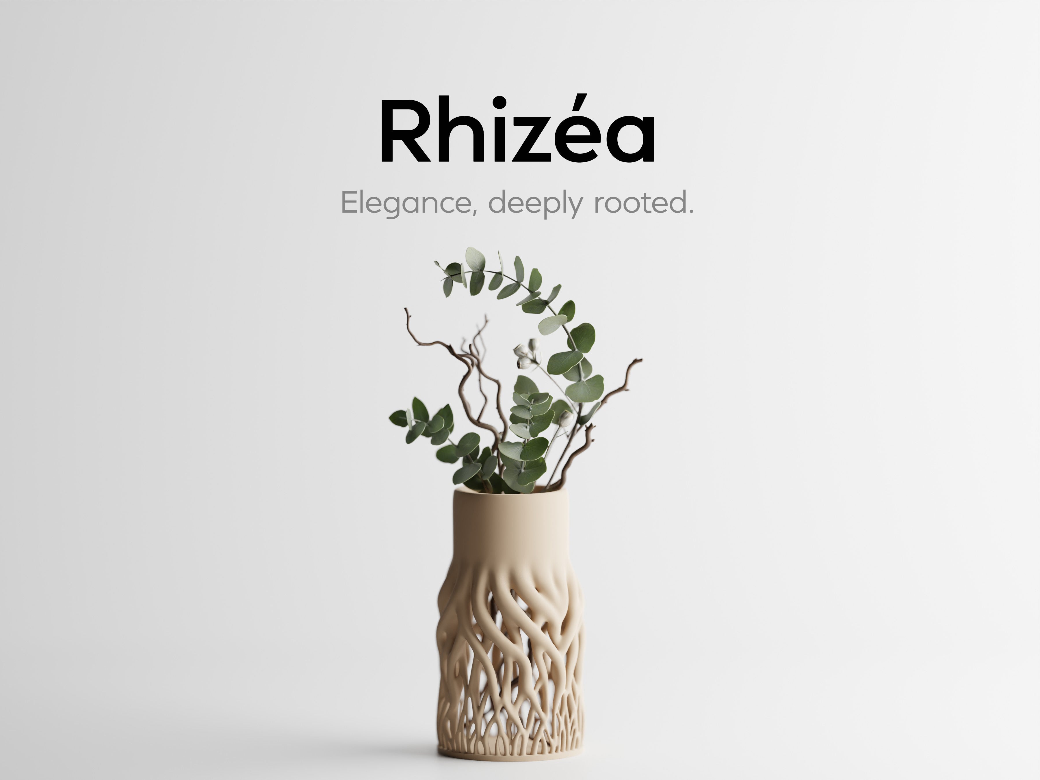 Rhizéa – Elegance, deeply rooted